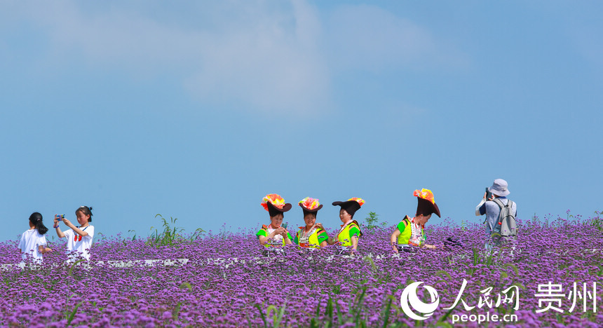 �����������ο�ǰ���򿨡�����W ���z