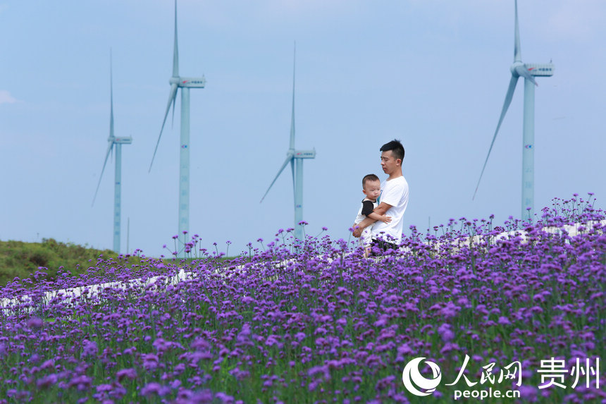 ���L��������ǰ���^�p����������W(w��ng) ���z