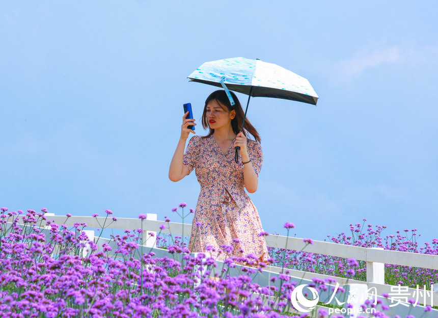 �ο����֙Cӛ���픻�������������W ���z