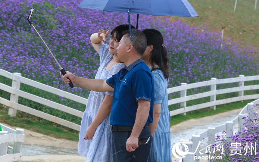 �ο��ڻ����к�Ӱ����������W ���z