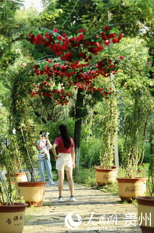 ��Ϫ���@���Nޱ���h�����������մ�������W ��m�Ɣz