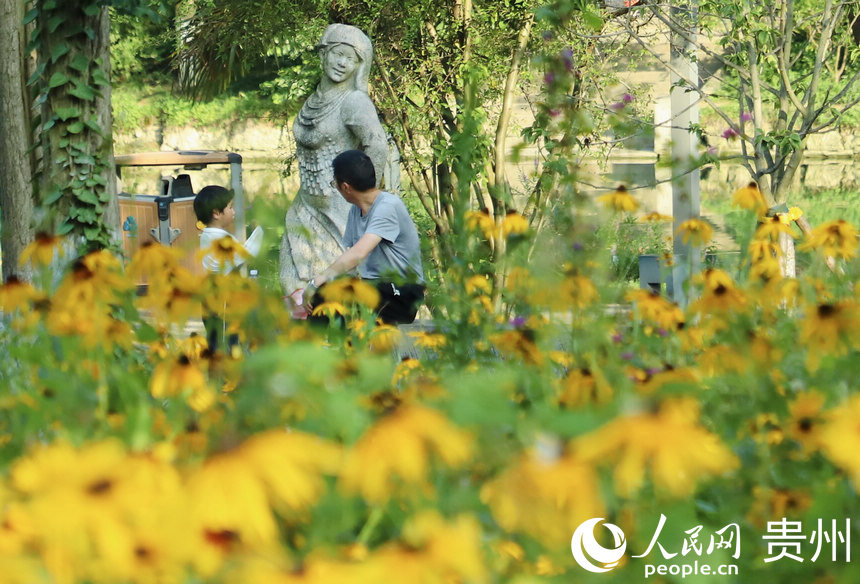 �����ھG�a�³˛�������W ��m�Ɣz