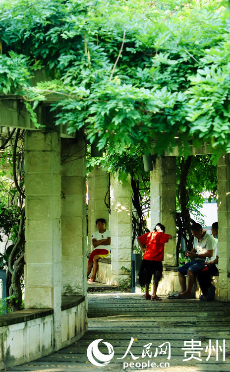 �����ھG�a�³˛�������W ��m�Ɣz