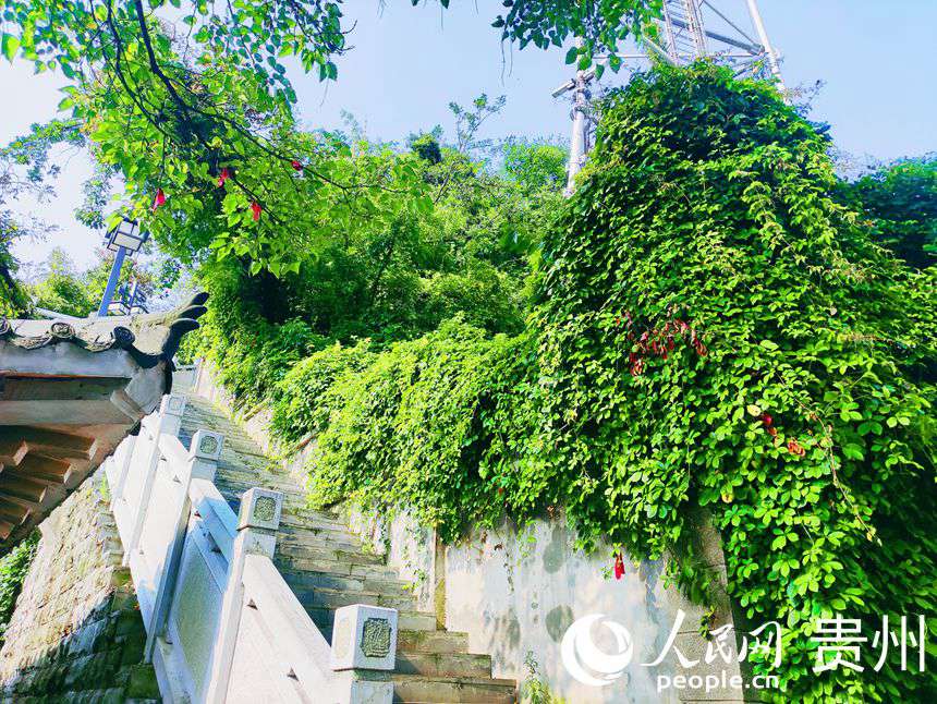 ·߅�������M�˾Gֲ������W �ƽܔz