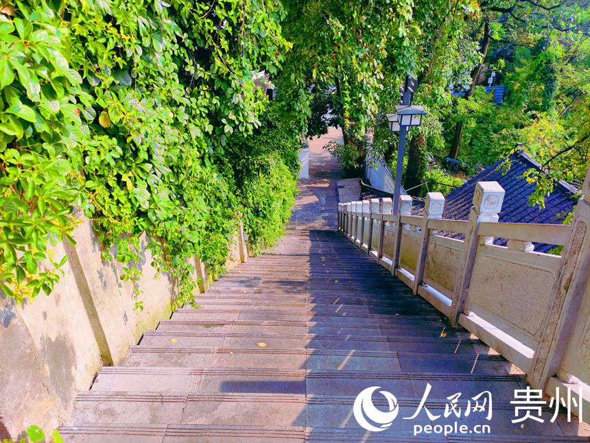 ꖹ������£�С·�ڰ���ӳ��Ȥ������W �ƽܔz