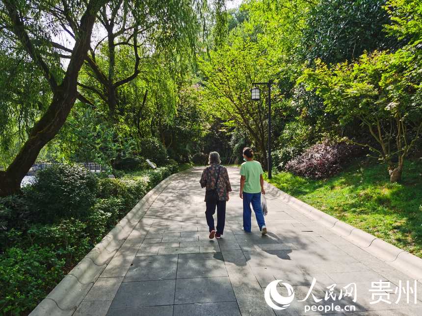 ����ɢ������������W(w��ng) ꐾ��� �z