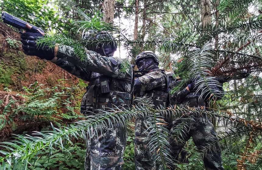 ���ֵ��������ܲ��z