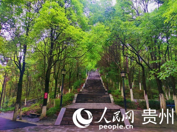 ���_���@���̎����Ҫ���^���o�[�G���ݲ��_�A������W �ƽܔz