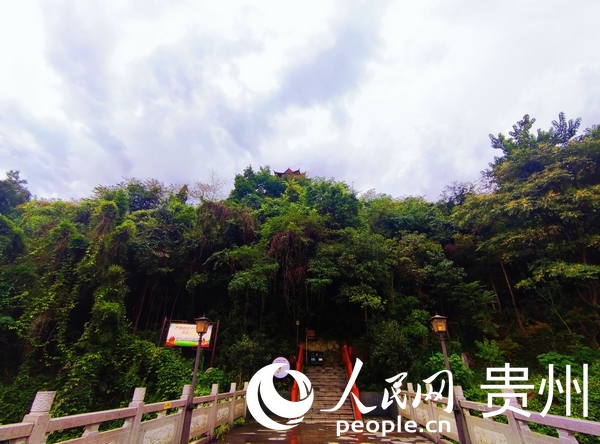 ���w���@��ֲ��ï�ܡ������[�[������W �ƽܔz