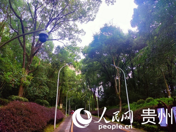 ��ɽ�����Ƀ�����������W �ƽܔz