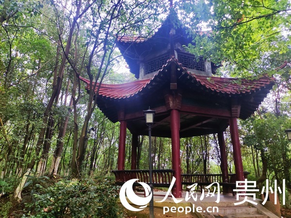 ʰ�������в���ЪϢ�ě�ͤ������W �ƽܔz