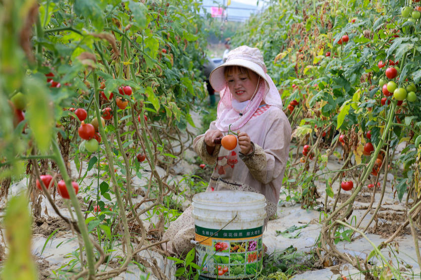 2021��8��21�գ��F��ʡǭ�����ķ�ֵ��￲��^�������ڲ��մ���ȳ�������t����