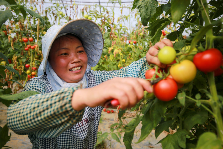 2021��8��21�գ��F��ʡǭ�����ķ�ֵ��￲��^�������ڲ��մ���ȳ�������t����