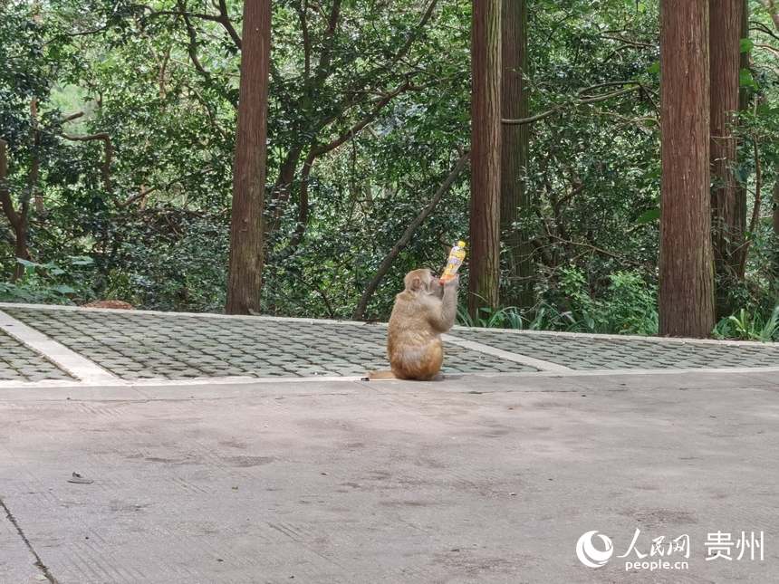 ���@�ȵĺ��ӡ�����W ꐾ����z