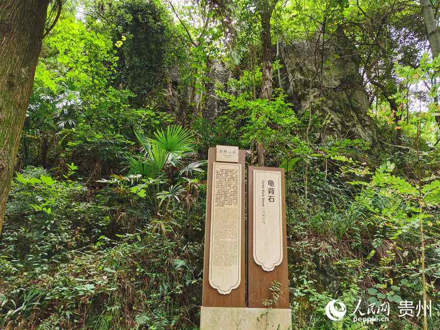 ����ʯ������W ꐾ����z