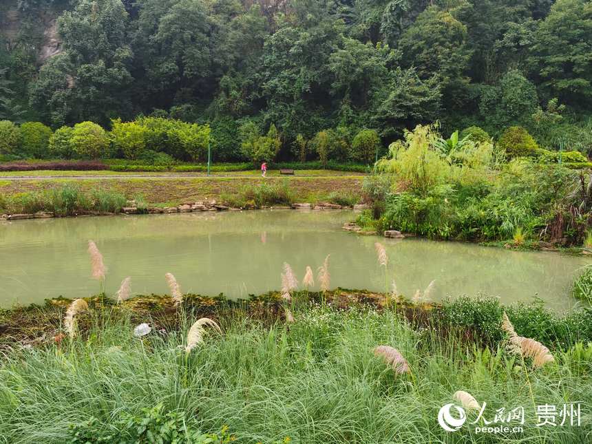 ɭ�ֹ��@��һ�ǡ�����W ꐾ����z