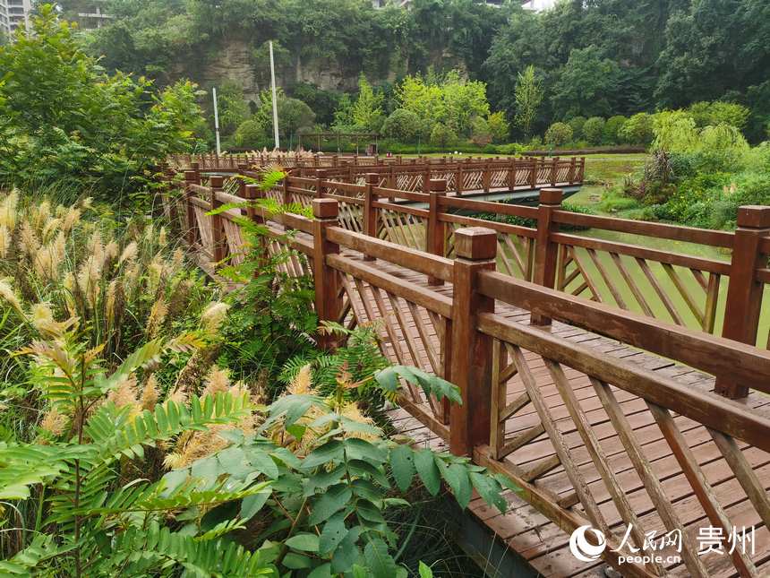 ɭ�ֹ��@��(n��i)һ�ǡ�����W(w��ng) ꐾ����z