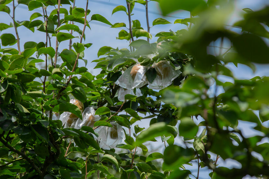 �����M֦�^������W ���z