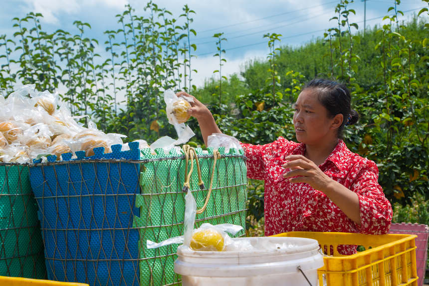 ���r�������b܇�l�u������W ���z