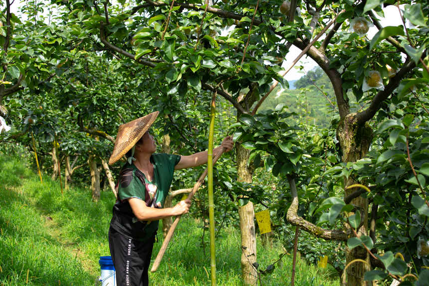 ���r�����Uժȡ���ӡ�����W ���z