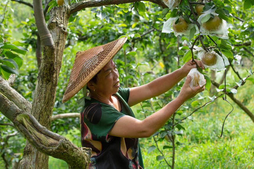 �p�ȴ���ӭ�������S�ա�����W ���z