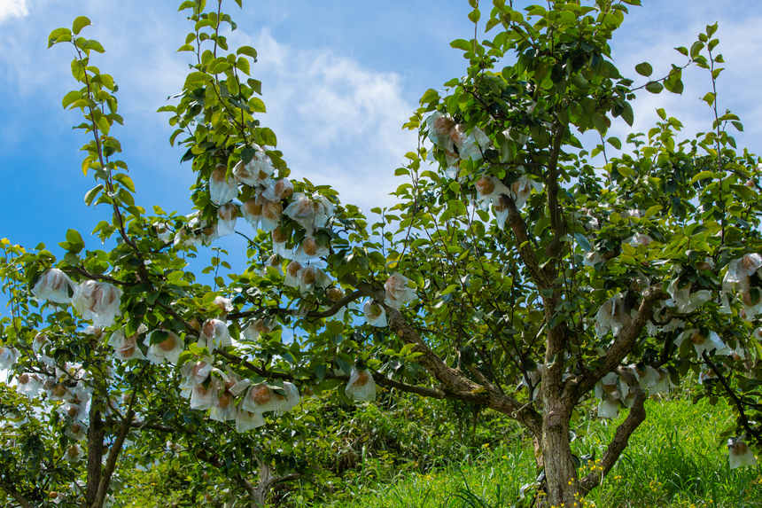 �F�ݸ�Ȫ���f����@ӭ�S��