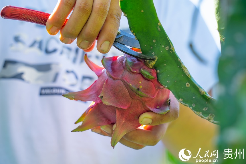 ���r�Ǭ��������̲�ժ����Ļ�����������W Ϳ���z