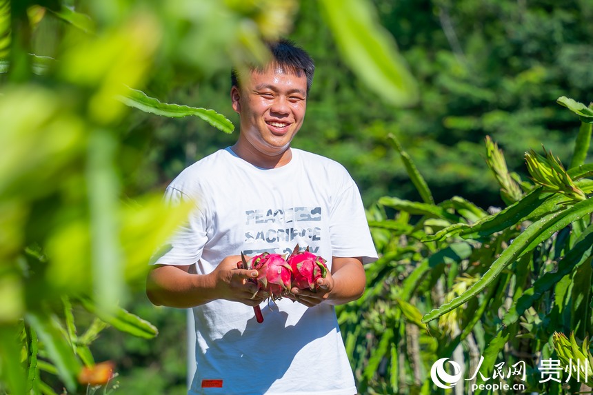 ���r(n��ng)�Ǭ��������̲�ժ����Ļ�����������W(w��ng) Ϳ���z