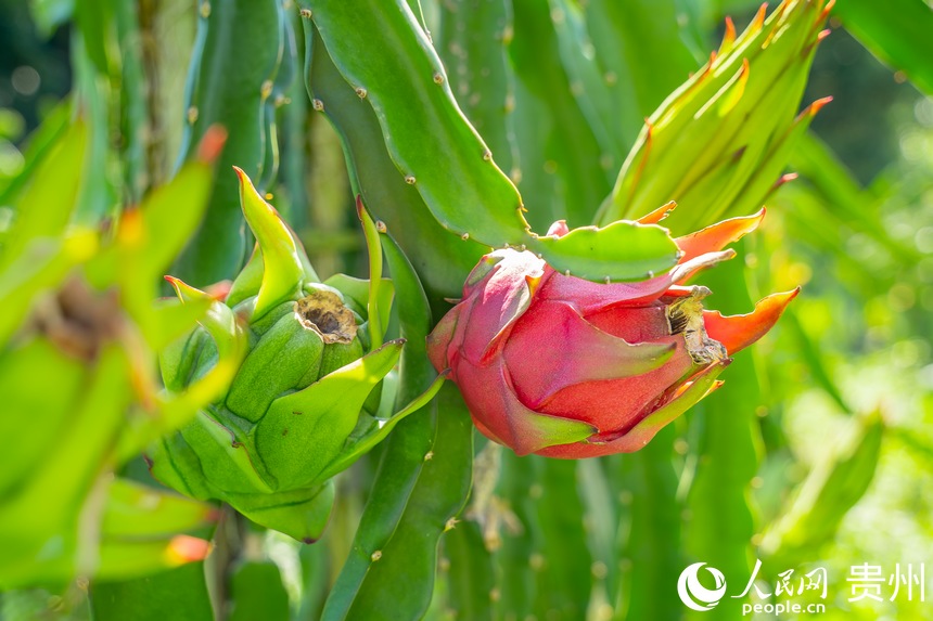 �������ͼ���ʢ�_�Ļ�������������W Ϳ���z