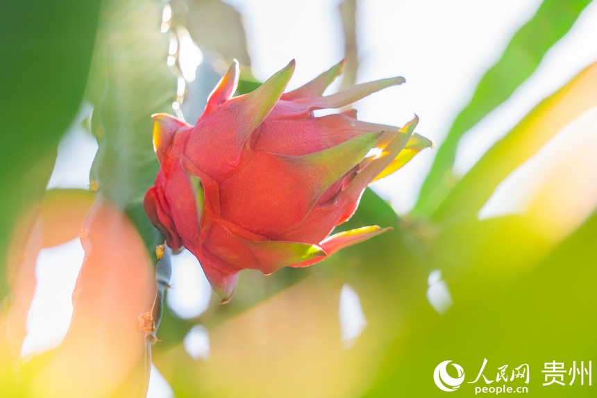 ���@��(n��i)����Ļ�����������W(w��ng) Ϳ���z