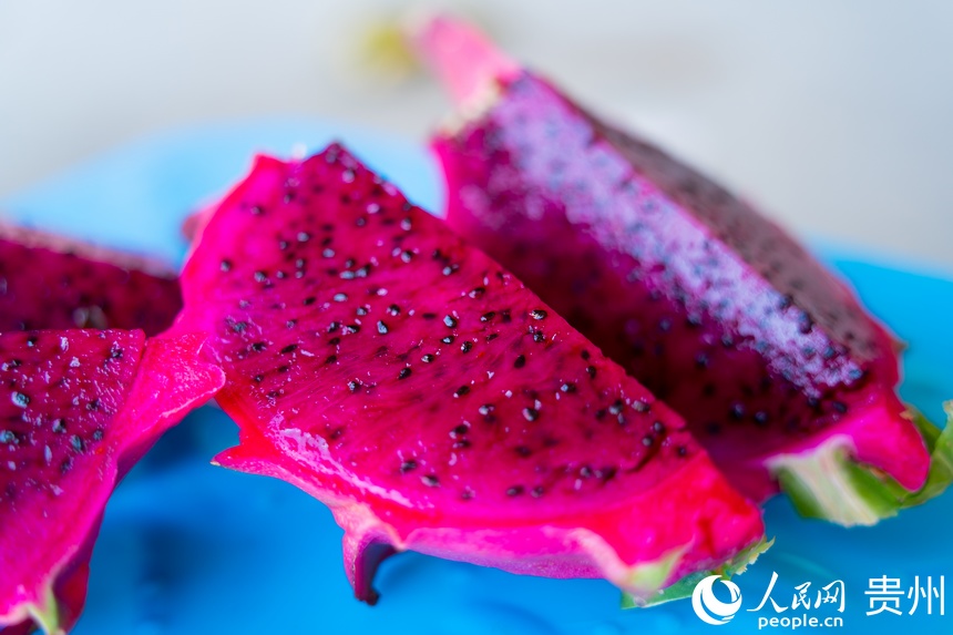 ������֭���_��t�Ļ�����������W(w��ng) Ϳ���z