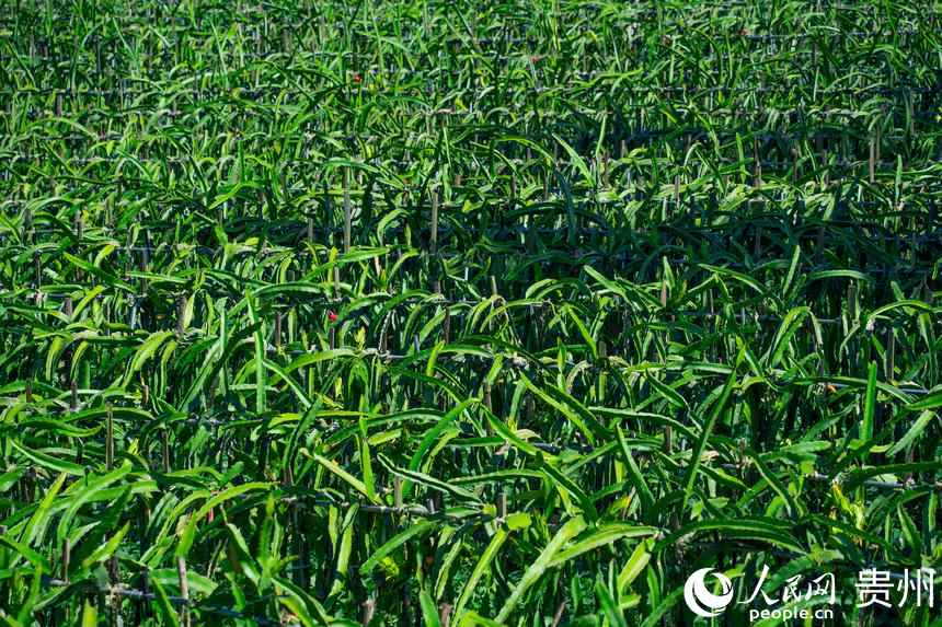 ǭ�����_��h�����Ļ������@������W Ϳ���z