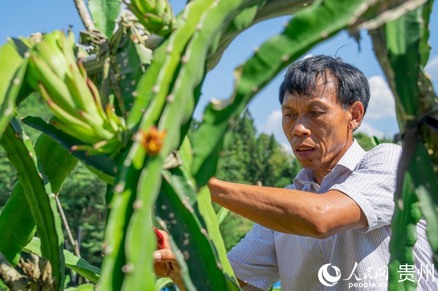 ���r�С���ڹ��o�������@������W Ϳ���z