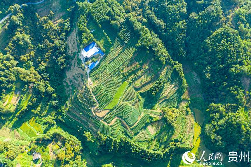 ����ǭ�����_��h�����Ļ������@������W Ϳ���z