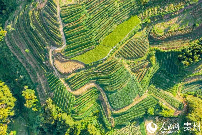 ����ǭ�����_��h�����Ļ������@������W Ϳ���z