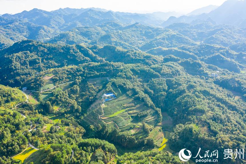 ����ǭ�����_��h�����Ļ������@������W Ϳ���z