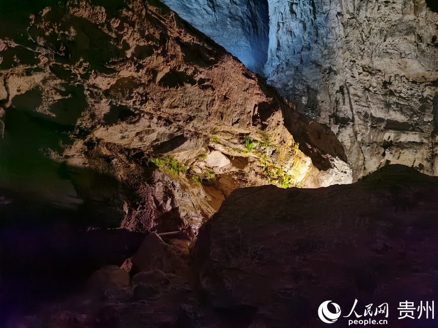 �p�ӹȾ��^������W ꐾ����z