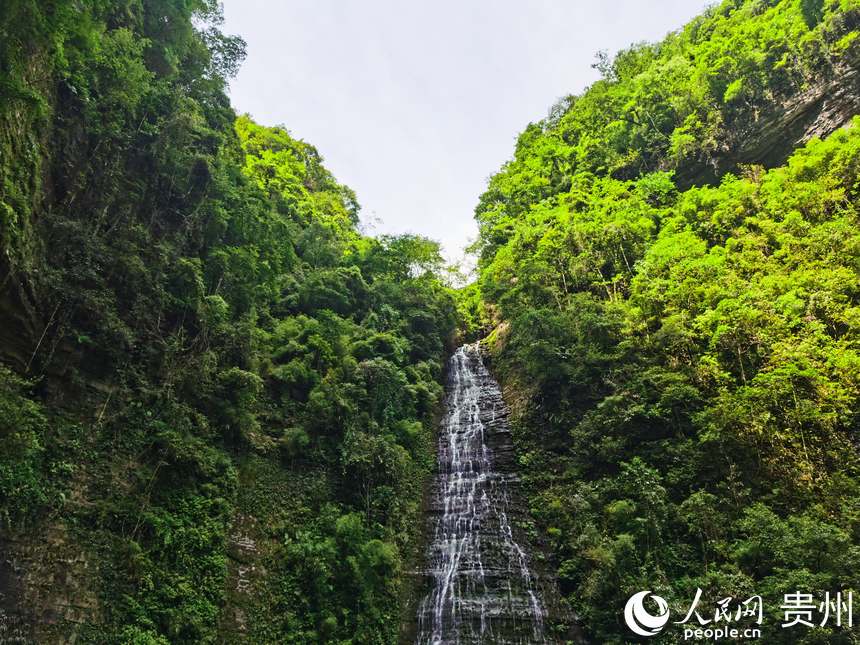 �p�ӹȾ��^(q��)������W(w��ng) ꐾ����z