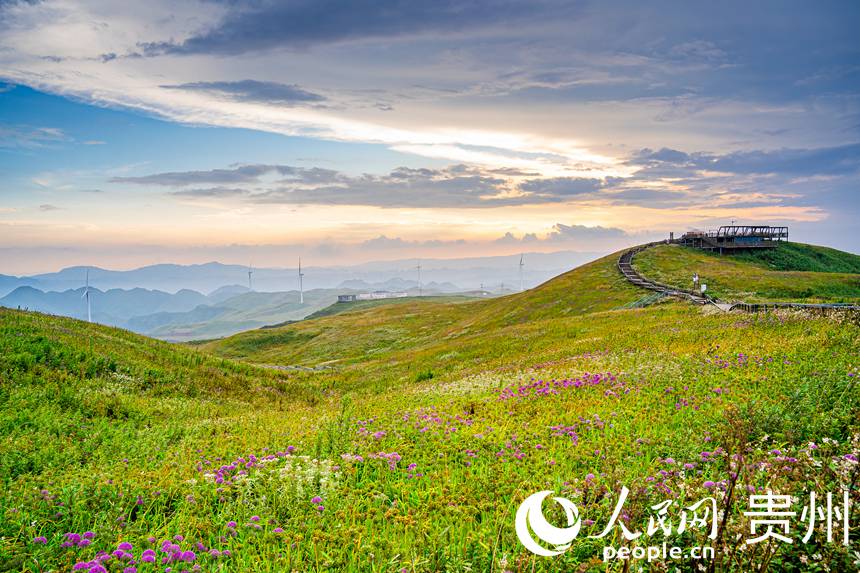 �����c���ս����xӳ������W Ϳ���z