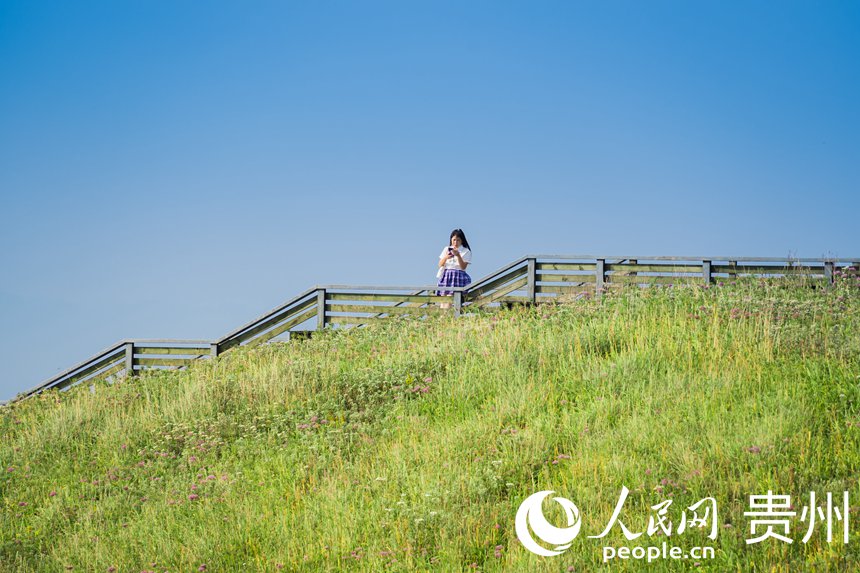 �ο����F�ݾ²�ƺ���^�����^�⡣����W Ϳ���z