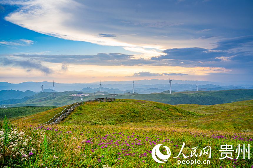 ��ϼ�еľ²�ƺ����������W Ϳ���z