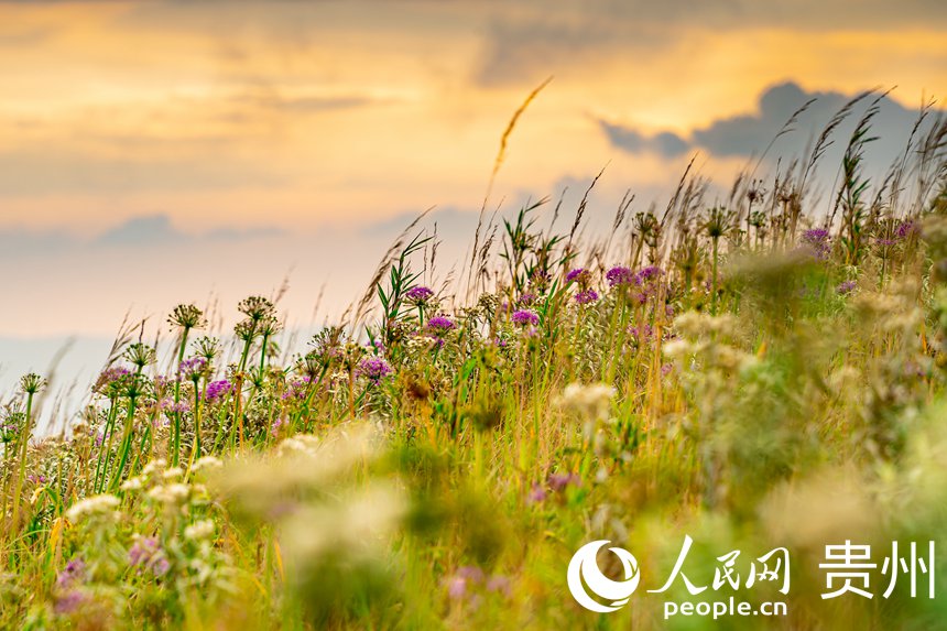 ��ɫ����������Sɫ����������W Ϳ���z