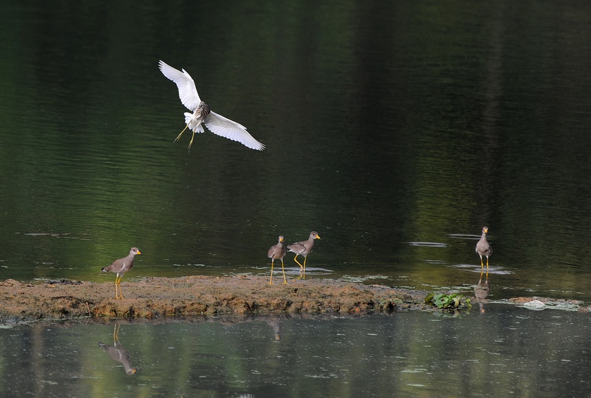 9��15�գ��������F��ʡǭ�|�����嶱�������ݵ�կ�h�ǽ��|����ع��@�Ϣ��