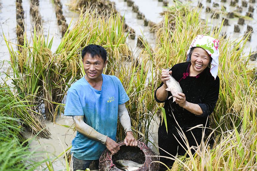 2021��9��12�գ��ڄP�����_�ѽֵ��춡�壬������׽�����~�����ʺ��z