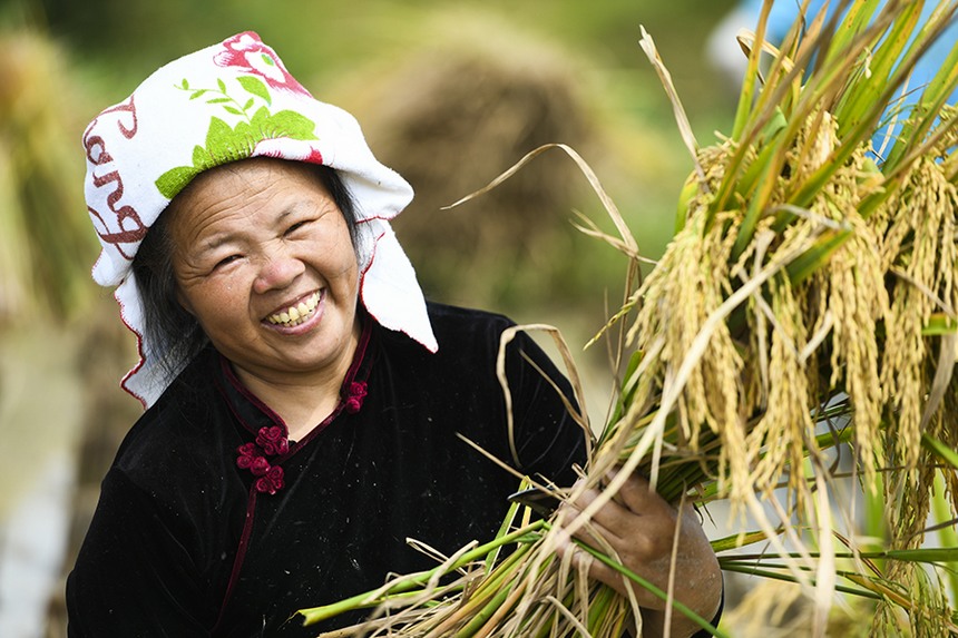 2021��9��12�գ��ڄP�����_(k��i)�ѽֵ��춡�壬�������ո�ȡ����ʺ��z