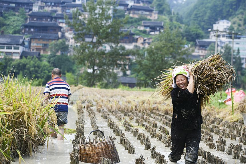 2021��9��12�գ��ڄP�����_�ѽֵ��춡�壬����?c��)��ո�ȡ����ʺ��z