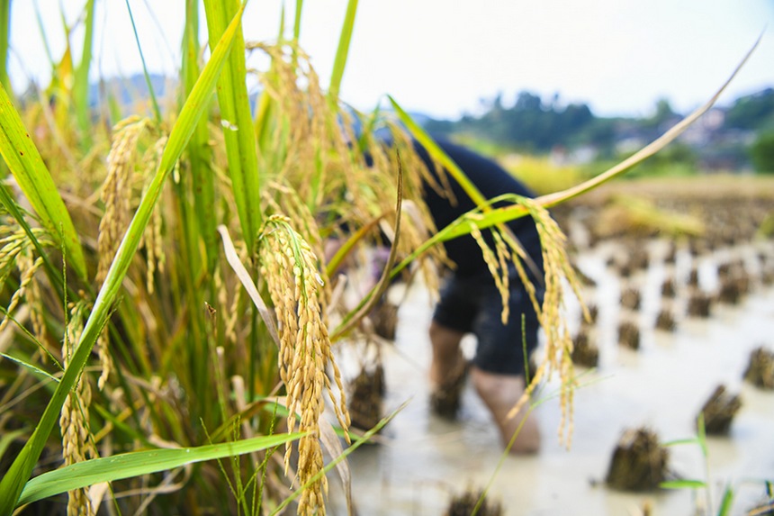 2021��9��12�գ��ڄP�����_�ѽֵ��춡�壬�������ո�ȡ����ʺ��z