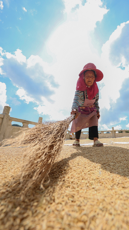 9��26�գ����F��ʡ��կ�h�d���(zh��n)�rӢ��կ�������������ի@�ĵ��ȡ�