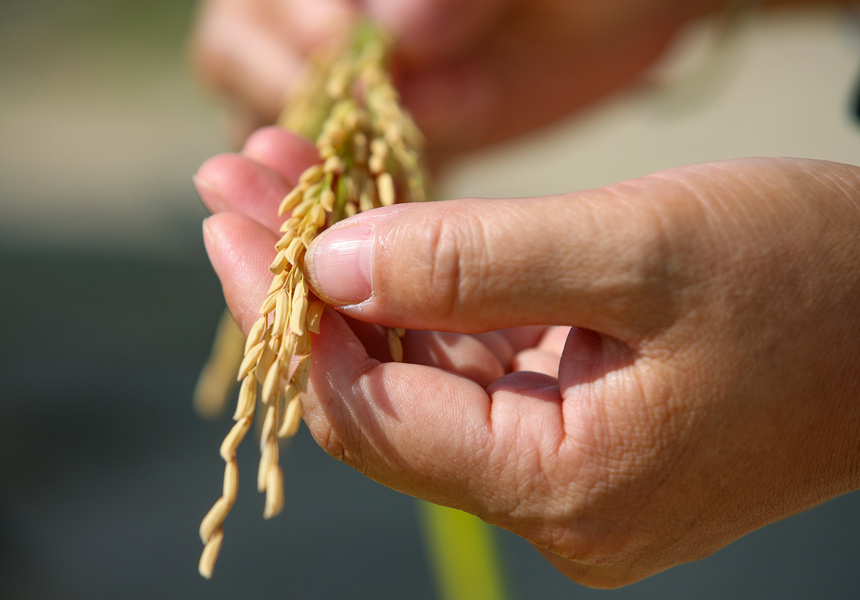 2021��9��29�գ����F��ʡ�����������οh�µ�悶�ƺ�壬�r���ˆT�������M�Мy�a�����ʌW�z