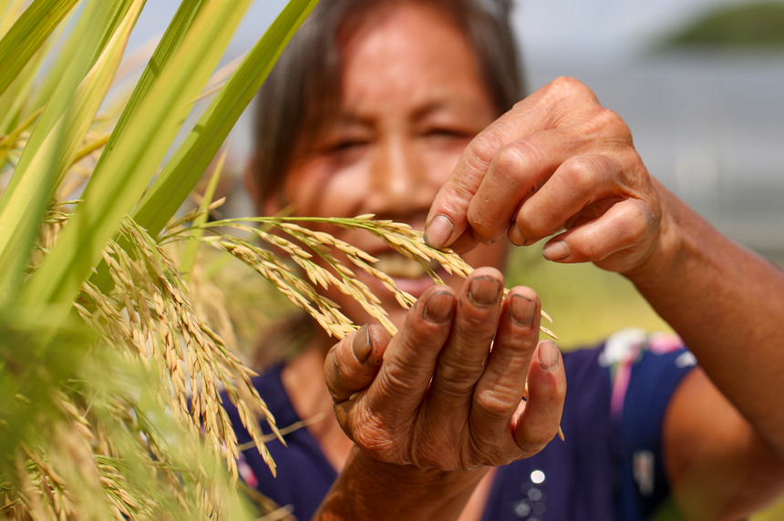 2021��9��29�գ����F��ʡ�����������οh�µ�悶�ƺ�壬�r���ڲ鿴�����w���� ���ʌW�z